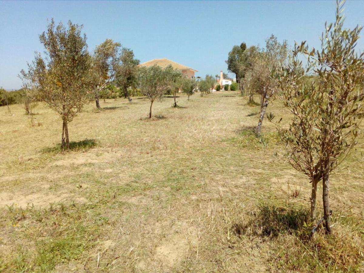 Villa Fior D'Oleandro Санта Мария дел Фокало Екстериор снимка